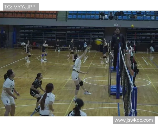 广州排球队的状态揭秘：排球巨献背后的努力与挑战